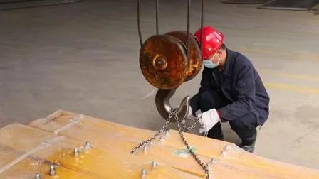 Поставка производителя мостового крана с использованием двухбалочной концевой тележки